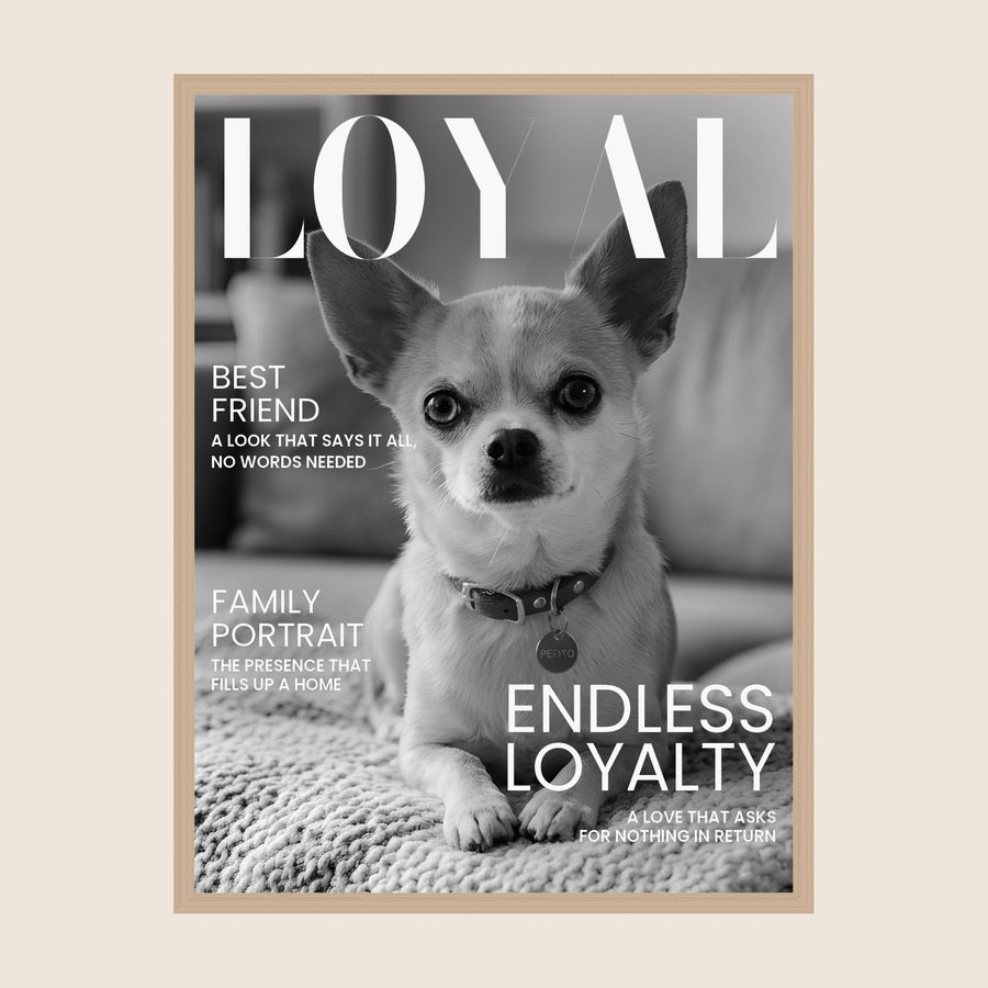 Magazine cover