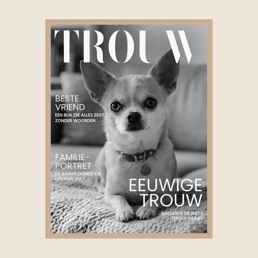 Tijdschriftcover