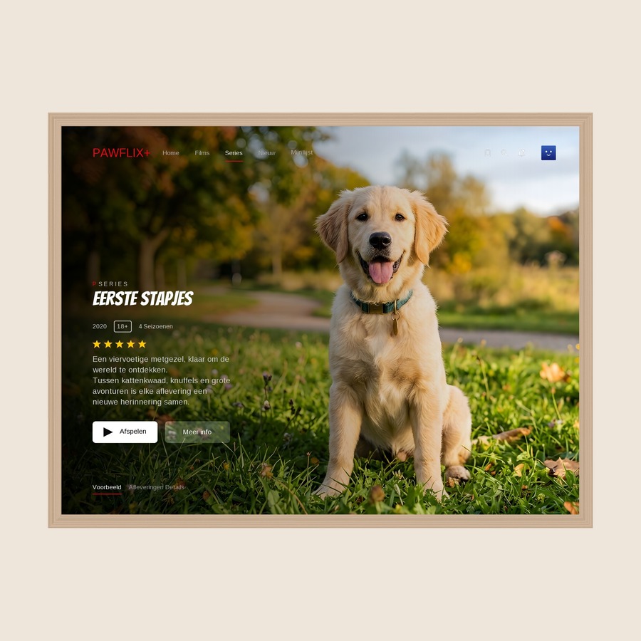 Streamingplatform