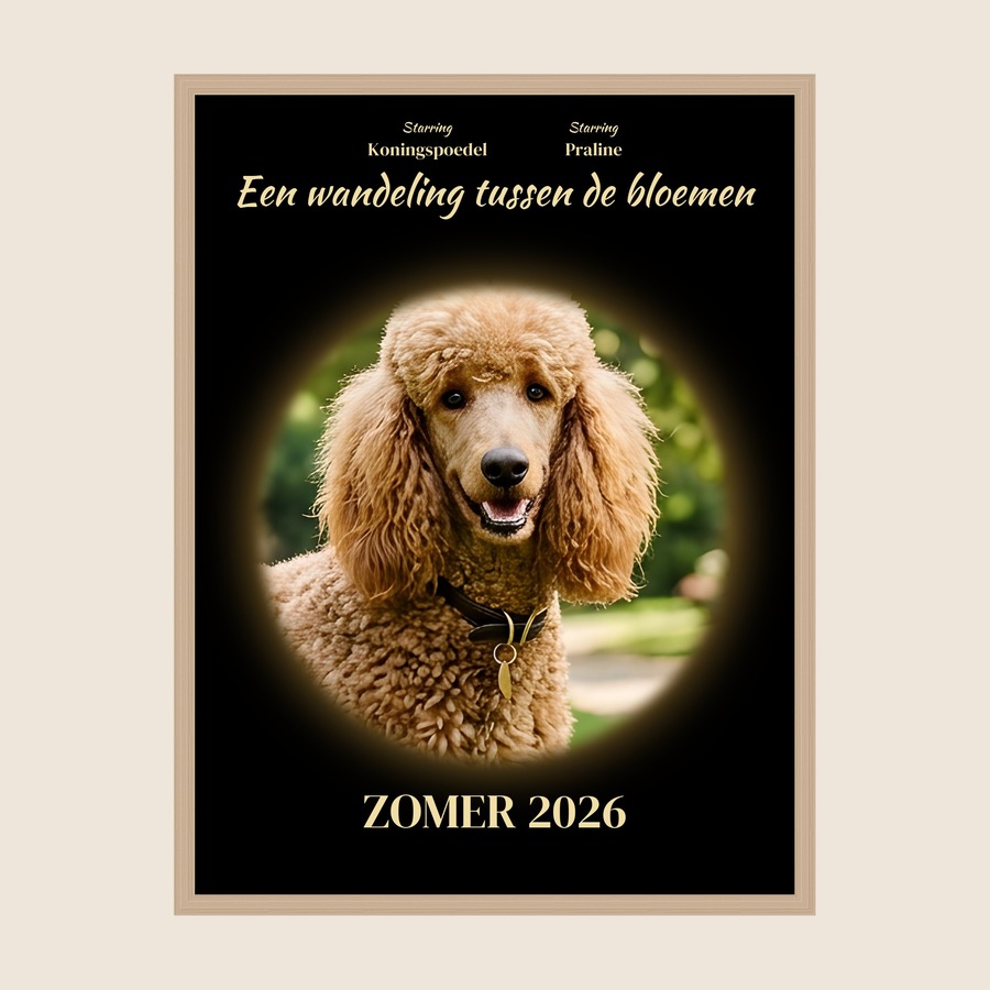 In de schijnwerpers